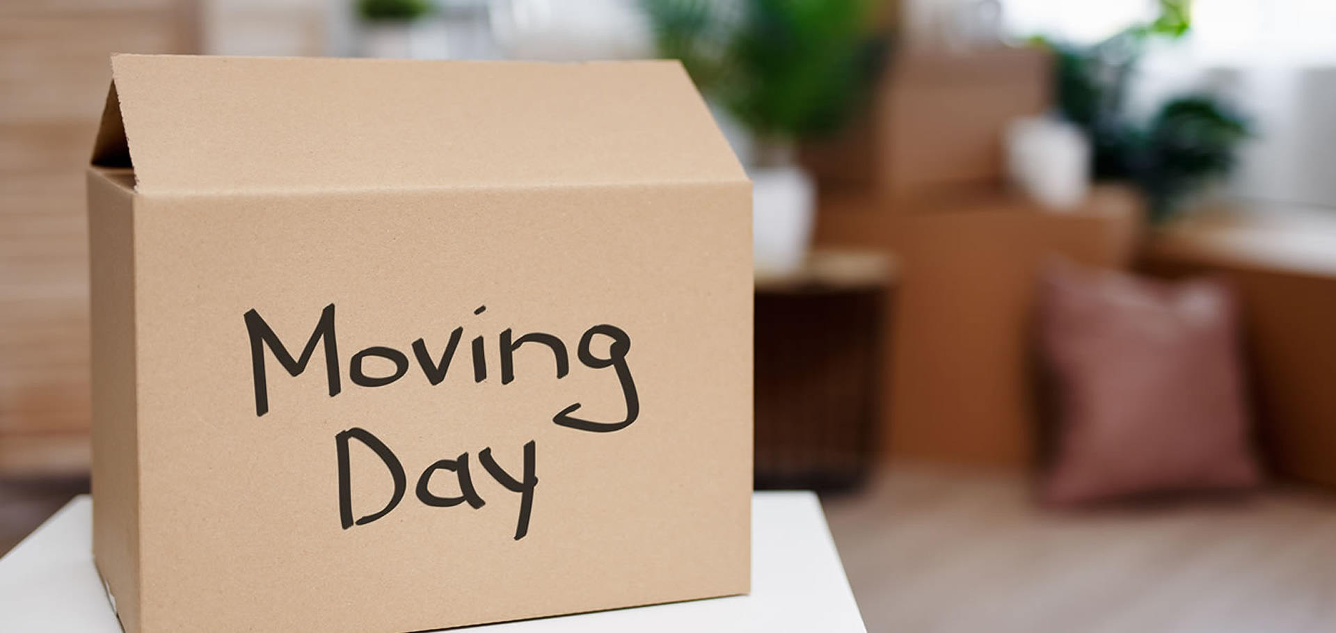 title_69e227f78611116694384311776429047